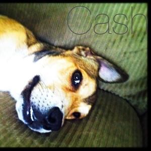 Meet your Posher, William